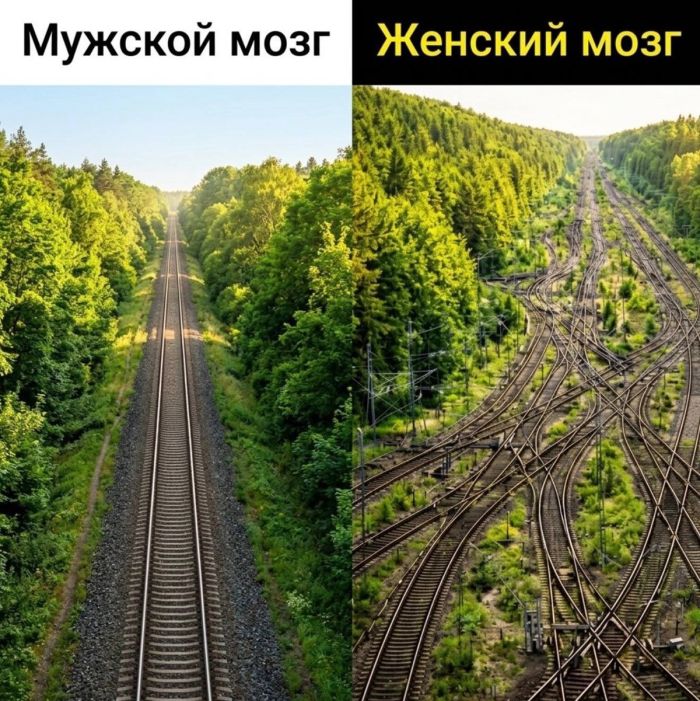 картинка b63db4f29b ustali ot seroj rutiny hochetsja chego to derzkogo i smeshnogo togda vam tochno sjuda 15