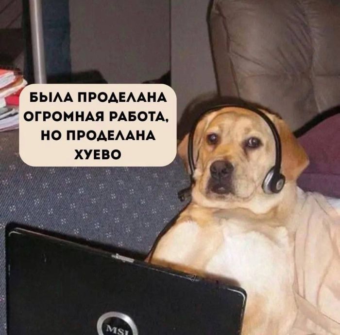 Пятница! Время для порции отличного юмора! Пятница, расслабиться, настроением, хорошим, Заряжайтесь, позитивным, максимально, сделать, чтобы, картинок, мемов, подборку, свежую, подготовили, посмеяться, время, маленький, самое, значит, выходные