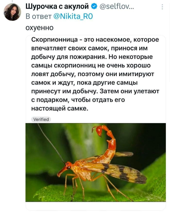 картинка b84b7fc32d svezhie shutki iz interneta prjamo v memah i kommentarijah 00