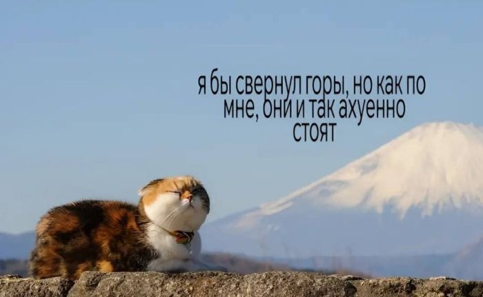 Готовьтесь к взрыву смеха! Свежие мемы на выходные