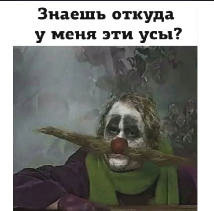 картинка bb118d2341 00