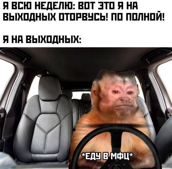 картинка c1b68fdb17 samyj smeshnoj jumor dlja vashego nastroenija 12