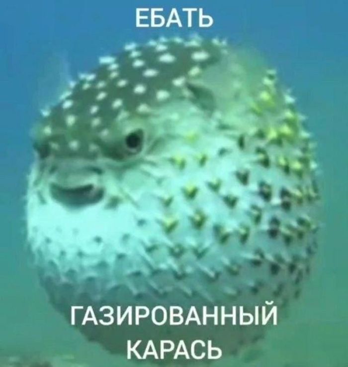 картинка c357d63744 chernyj jumor dlja nastroenija 13