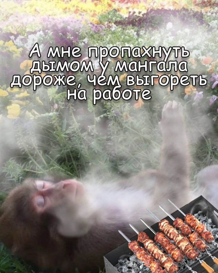 картинка c3e965b8db ulybnites podborka samyh smeshnyh memov i prikolnyh kommentariev iz socsetej 0