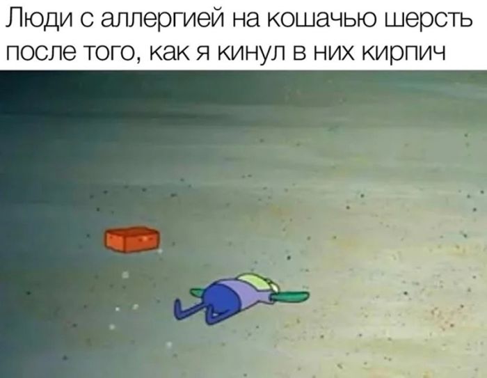 картинка c7e1e9af11 chernyj jumor dlja cenitelej ostrogo podborka memov i kartinok kotorye pojmut tolko vzroslye 22
