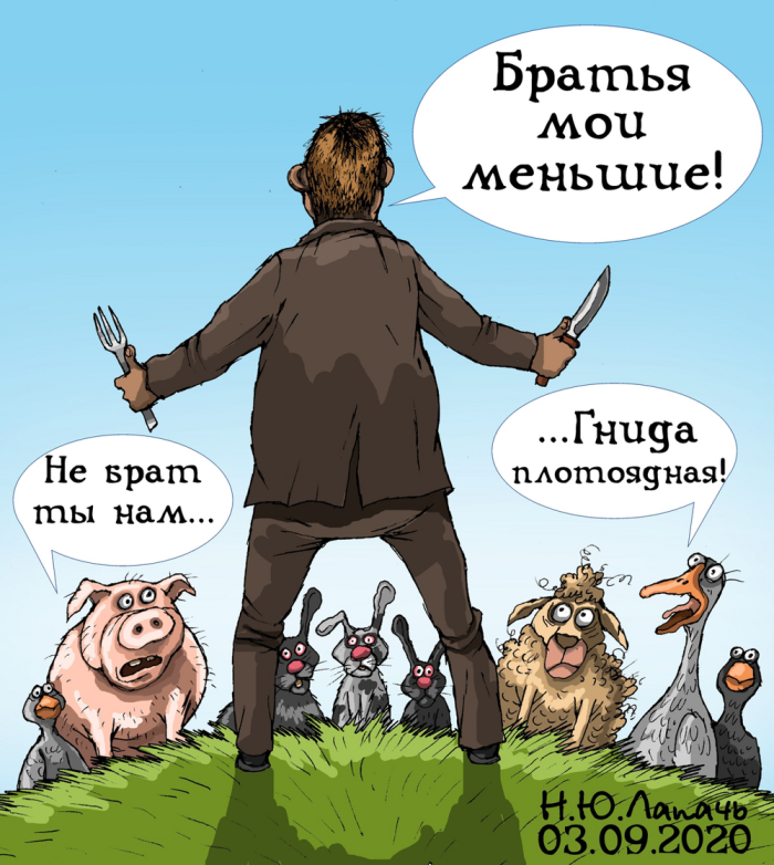 картинка c83ad9f054 1778213315