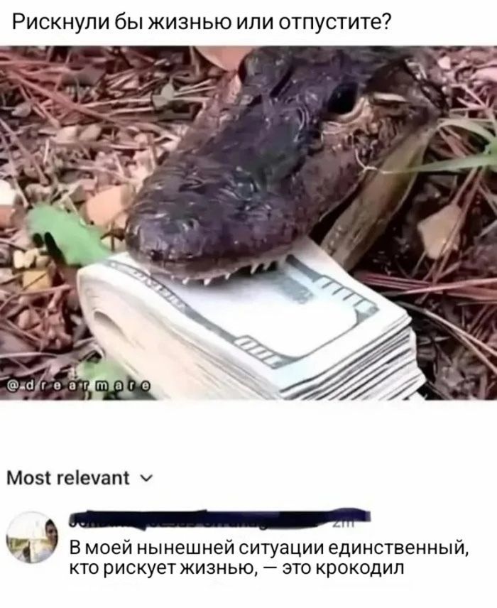 картинка cc02a71e8e porcija otbornogo jumora samye neozhidannye kommentarii iz socsetej 3