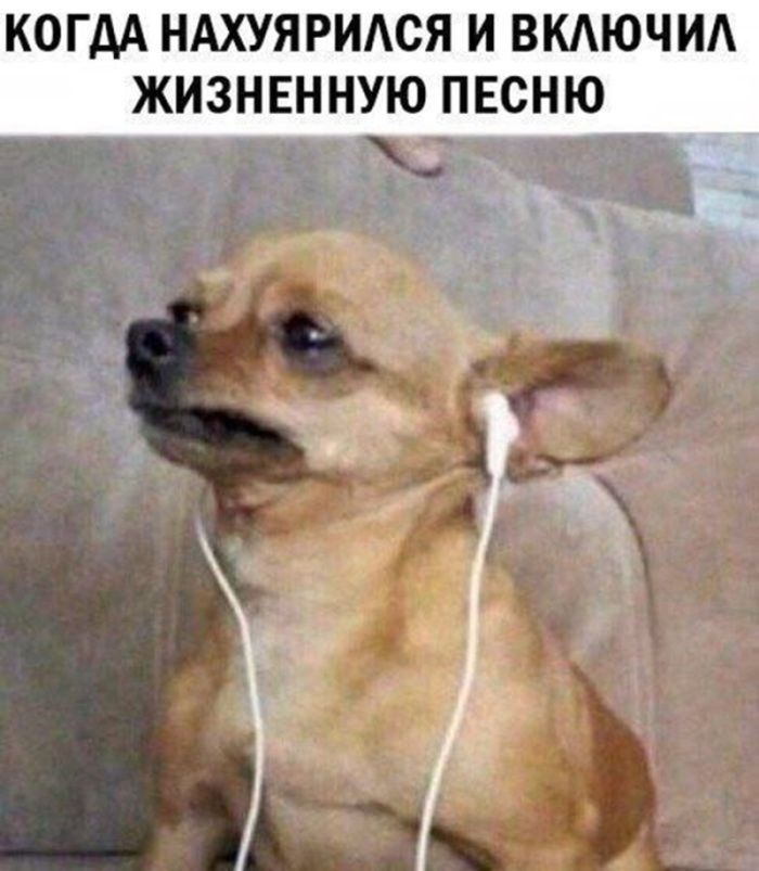 картинка d0b38ea2b0 chernyj jumor dlja nastroenija 25