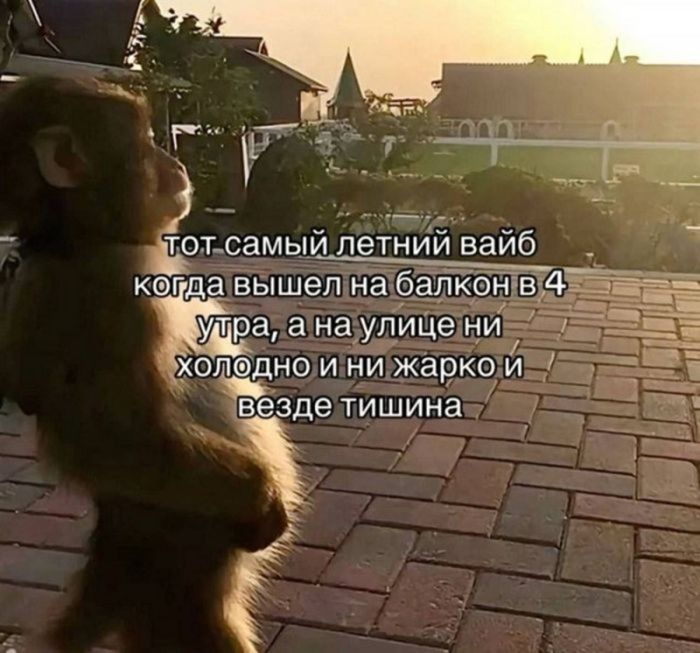 картинка d3bb653293 ustali ot seroj rutiny hochetsja chego to derzkogo i smeshnogo togda vam tochno sjuda 33