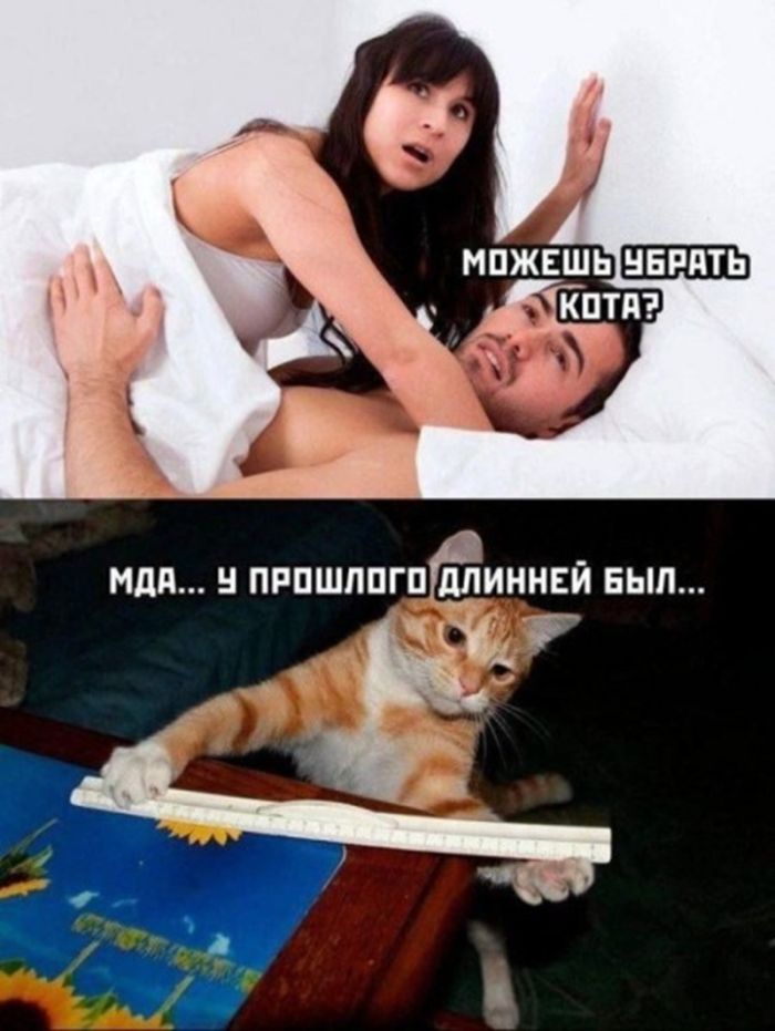картинка dd2ced8e83 chernyj jumor v memah dlja teh kto ne boitsja zagljanut za gran 3