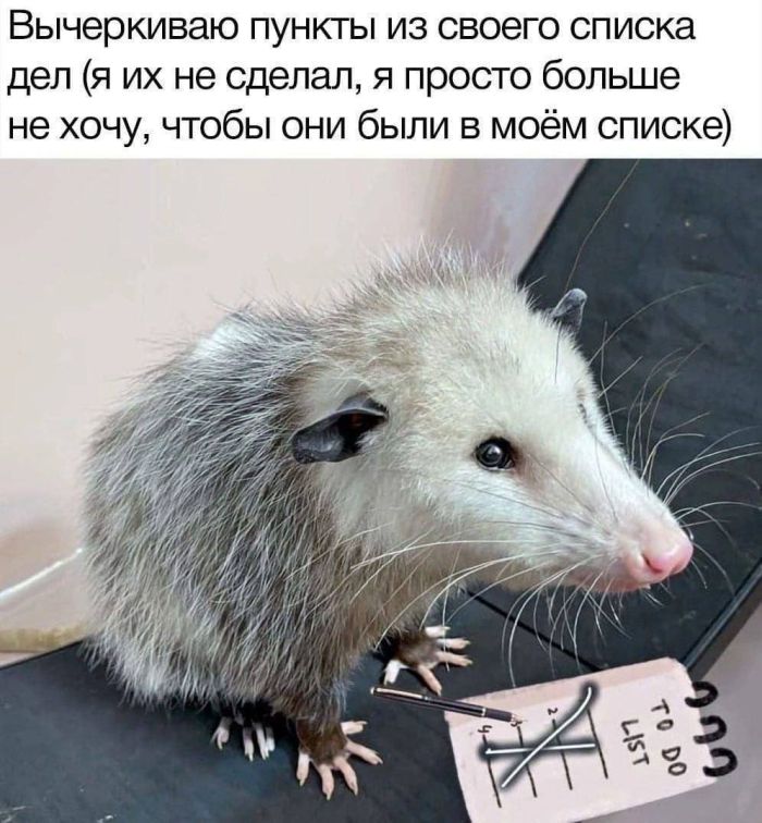картинка df212562ed 000000
