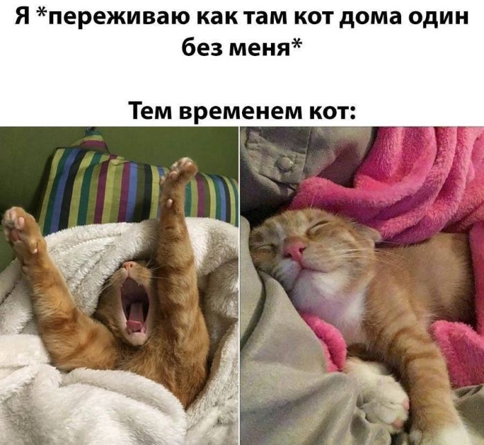 картинка e02580fb6f 0000
