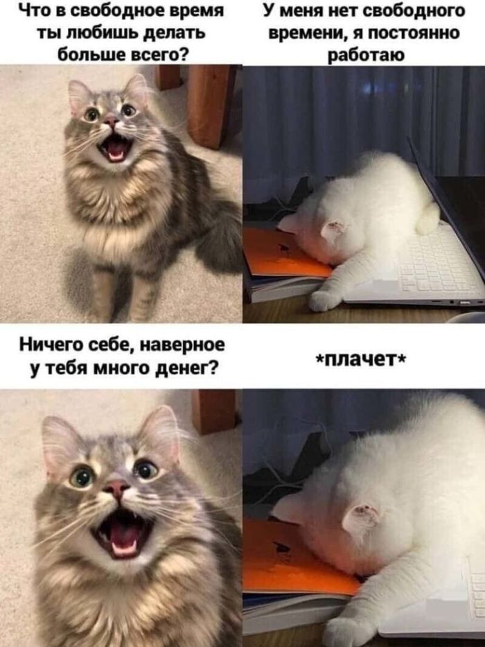 картинка e36ba5a879 00000
