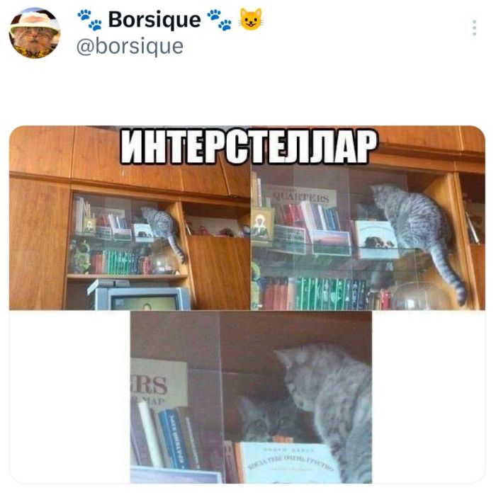 картинка e44f692c34 ulybnites shire bolshaja podborka svezhego jumora dlja vashego otlichnogo nastroenija 15