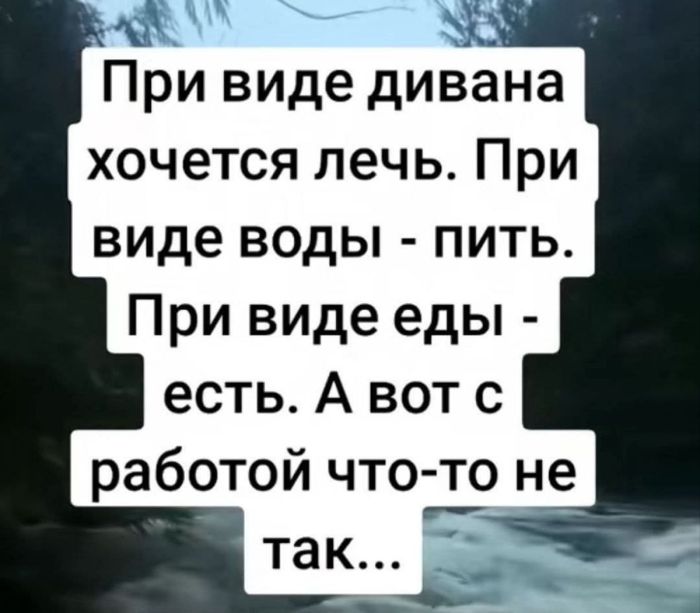 картинка e6ad77b604 ustali ot seroj rutiny hochetsja chego to derzkogo i smeshnogo togda vam tochno sjuda 24
