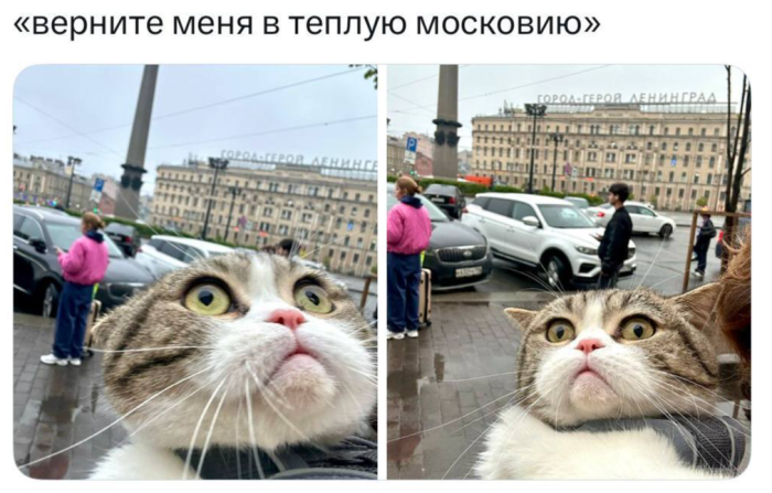 картинка e7858dd00c 00