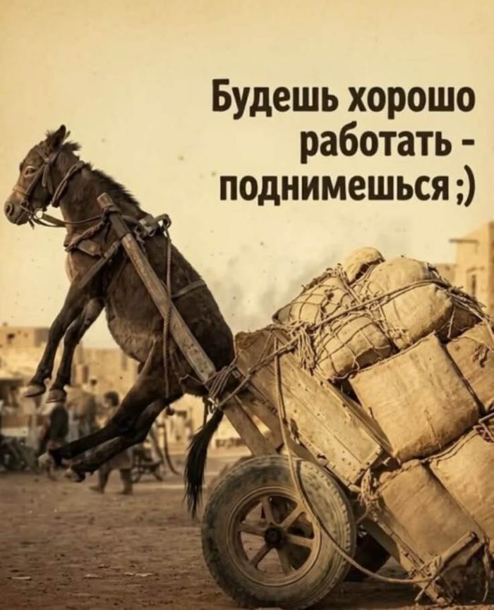 картинка ecf430f5da 00000