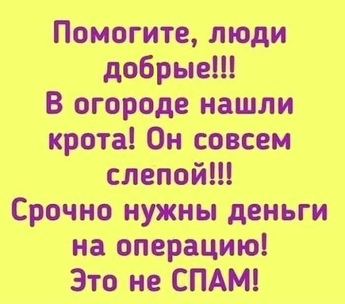 картинка ed123c4ef0 000000