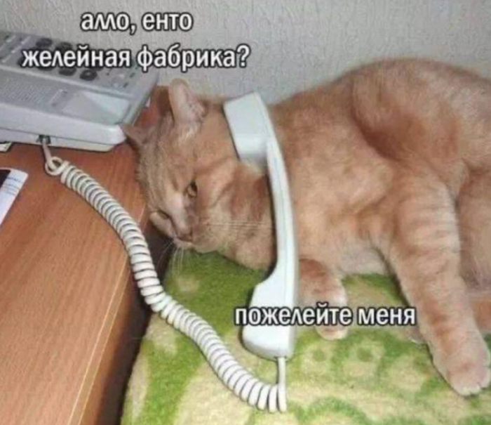 Понедельник? Не проблема! Заряжаемся позитивом с мемами и картинками! которые, который, поможет, самое, точно, сборник, позитивом, готовы, отличного, понедельник, только, понедельника, неделю, именно, пройти, улыбкой, начать, может, негатива, чистый