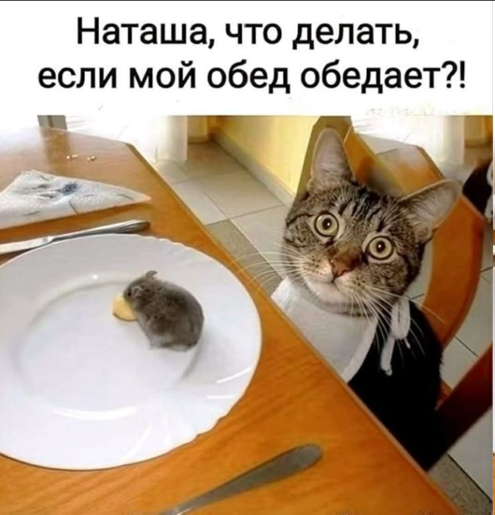 картинка f00413f492 000000