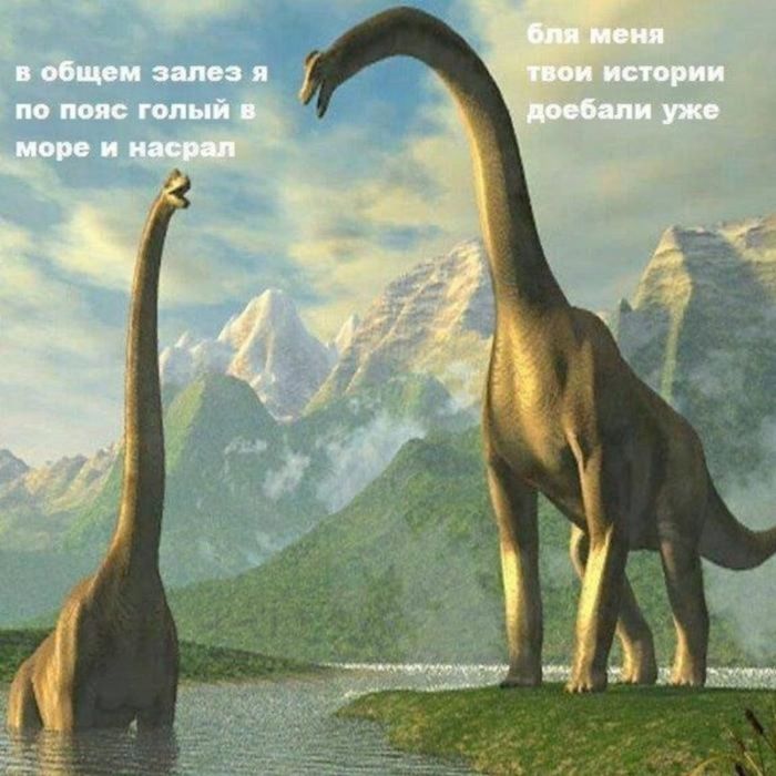 картинка f00affda05 chernyj jumor dlja nastroenija 19