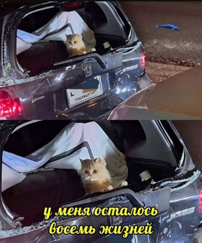 картинка f3264a58cc chernyj jumor v memah dlja teh kto ne boitsja zagljanut za gran 12
