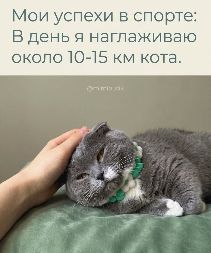 Выходные — время для смеха! выходные, смеха, настроение, сохраняйте, смейтесь, листайте, Тогда, позитива, кофеГотовы, Ловите, лучше, взбодрить, могут, минут, энергии, заряд, мгновенный, отправляйте, друзьям, думают