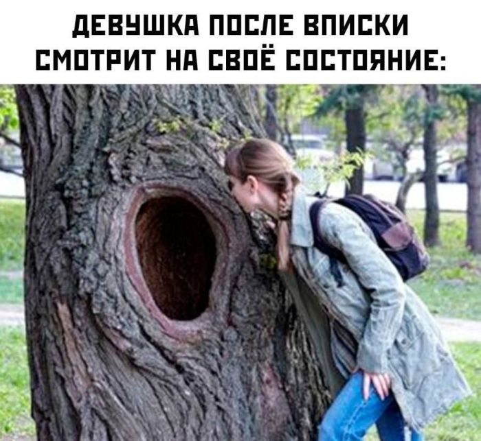 картинка f46569f998 perchinka dlja vashej lenty sbornik pikantnyh memov s ogonkom 21