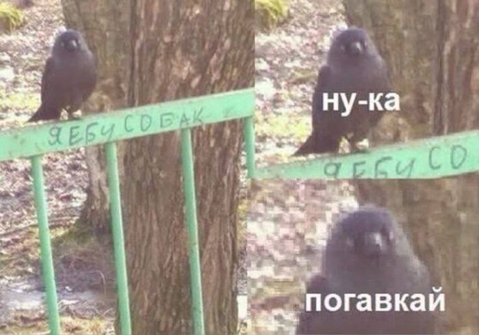 Маленькая пятница уже здесь! 🎉 Лови порцию свежих шуток и мемов, чтобы пережить середину недели с улыбкой! шутки, чтобы, маленькая, приколы, пятница, выходных, настроения, недели, самые, Готовьтесь, которые, самый, совсем, повороты, каждый, работу, нашел, чтото, душеСитуативные, 😉Неожиданные