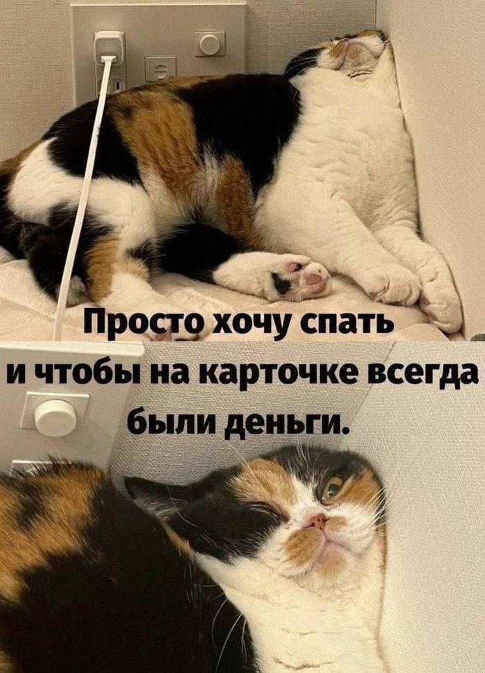 Вот и наступили выходные, а значит, время для порции отличного настроения! 🚀