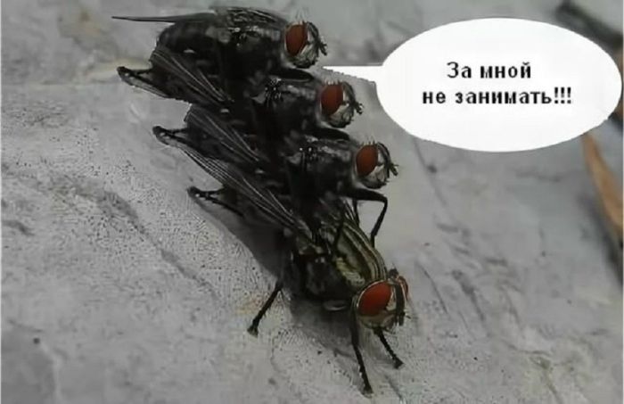 Готовьтесь к взрыву смеха! Свежие мемы на выходные которые, настроение, минут, выходные, подписями, стоит, другие, ситуацииФилософские, короткие, ёмкие, фразы, заставляют, одновременно, выходных, смеяться, задуматьсяПочему, посмотретьЭти, мемызаряжают, позитивом, смеха