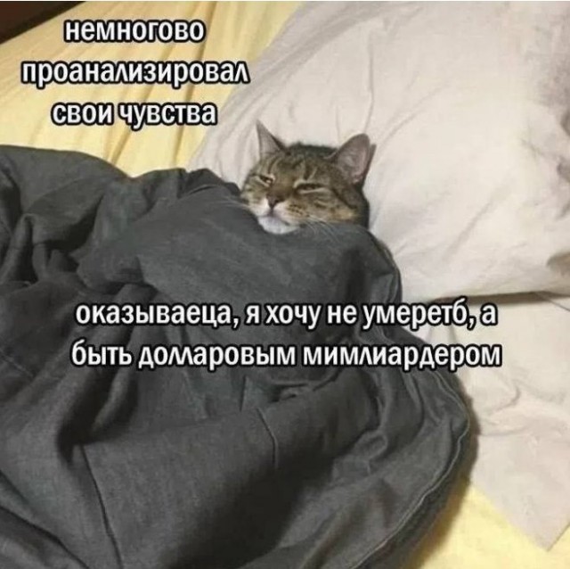 картинка 00b733a17a 21083388