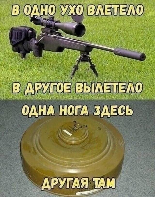 картинка 03495ec43b 21019055