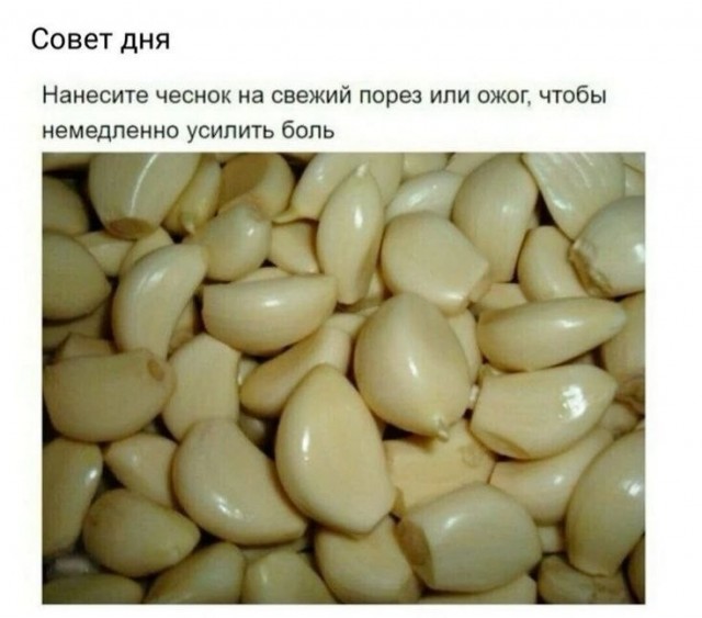 картинка 042f96a2dc 21003703