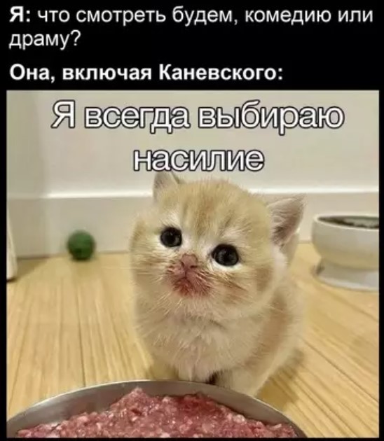 картинка 0517f4c0c1 21046147