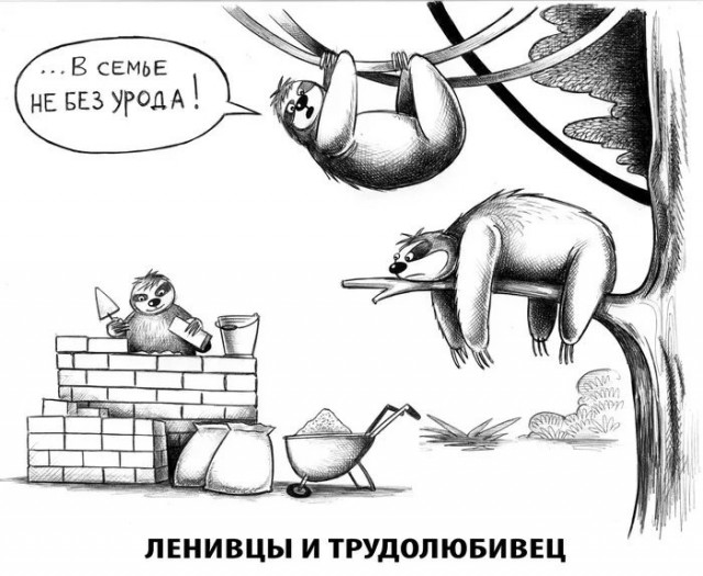 Забудьте о скуке! Новый сборник отборных мемов и картинок с надписями уже здесь, чтобы поднять вам настроение до небес! просто, которые, позитива, сборник, Устали, улучшает, получить, способ, идеальный, жизнь, делает, самочувствие, снимает, стресс, время, лекарство, лучшее, посмотретьПотому, стоит, Почему