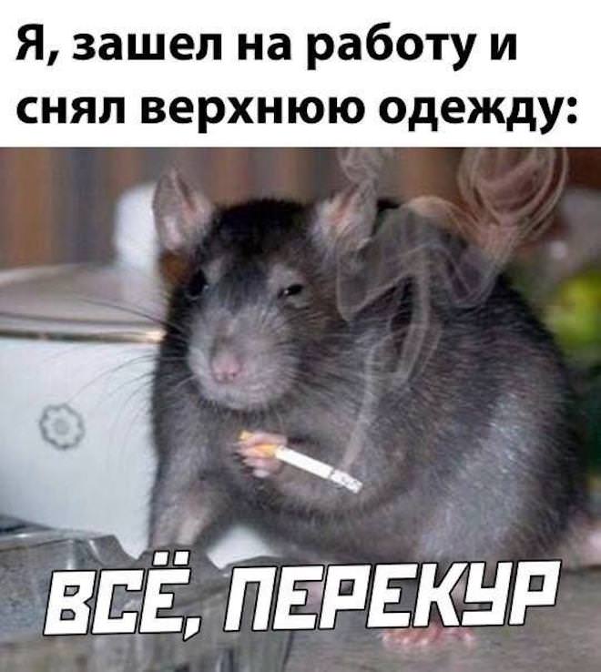 картинка 0701aa1e16 pjatnica vremja vydohnut i zarjaditsja pozitivom 9