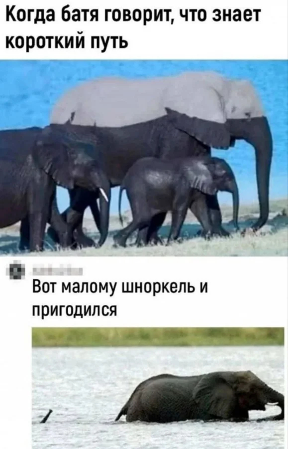 картинка 072e2314fb gotovtes budet zharko 1