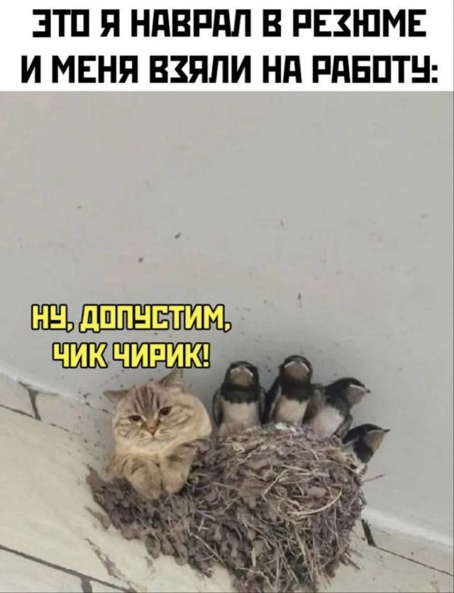 картинка 0793040ad5 21046436