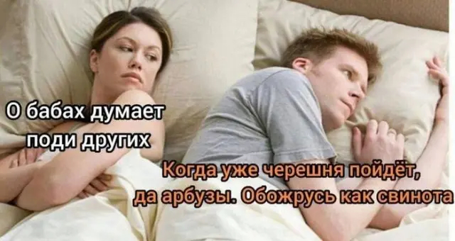 картинка 081c043cae 1780808912
