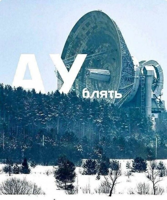 картинка 0b3f6baa23 21019286