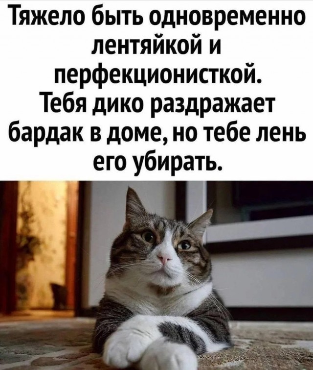 картинка 0ce39b3b40 21001964