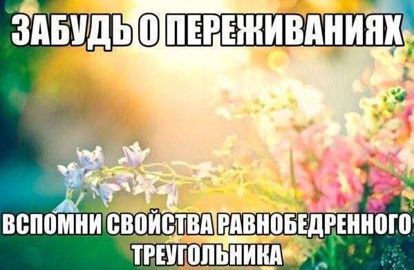картинка 0eae227252 21017133