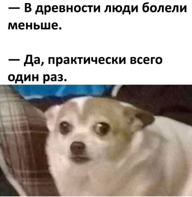 картинка 0f92f3f9fe 21057392