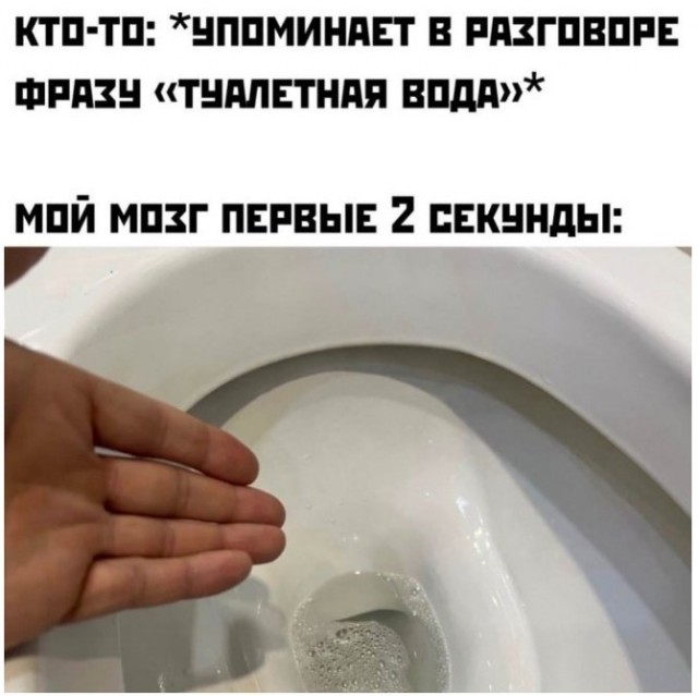 картинка 1224c7e72e 21018871