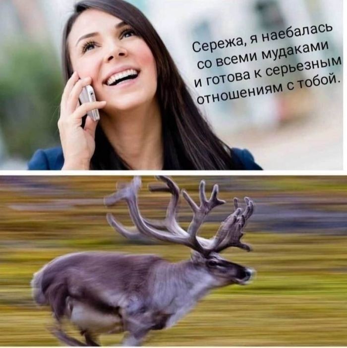 картинка 12d7f6c771 ustali ot banalnosti hotite chego to poostree togda vam sjuda 17