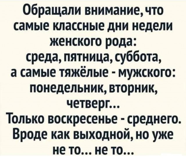 картинка 14b2422d66 21001958