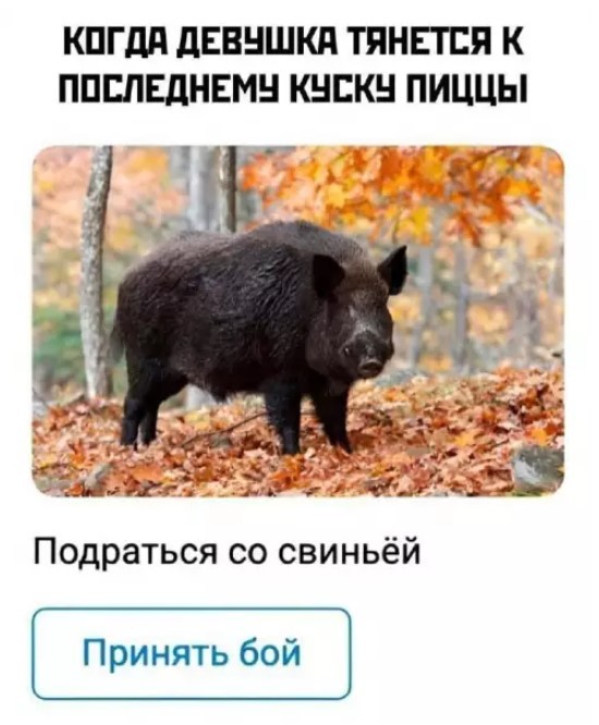 Выходные в мемах и картинках: поднимите себе настроение отборным юмором! картинки, сборник, настроение, самые, которые, Устали, личный, выходныеЭтот, подарить, хотим, моменты, такие, Именно, голос, хохотать, заставляет, ленту, очередной, источник, листаете