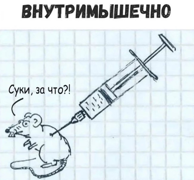 картинка 16e944db94 novyj sbornik memov zarjad pozitiva na ves den 9