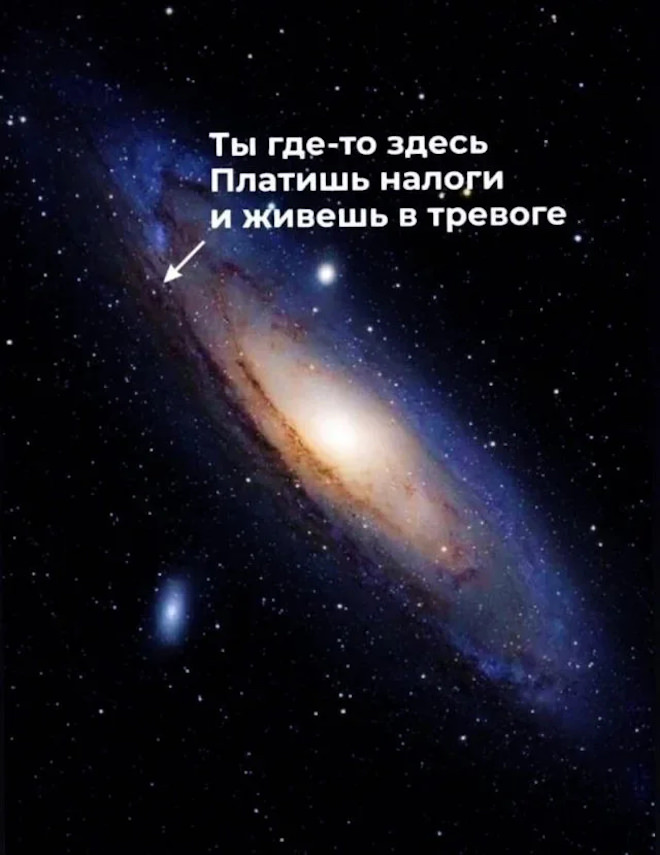 картинка 17d15109b4 lovite porciju pozitiva svezhij sbornik shutok memov i prikolov iz socsetej 5